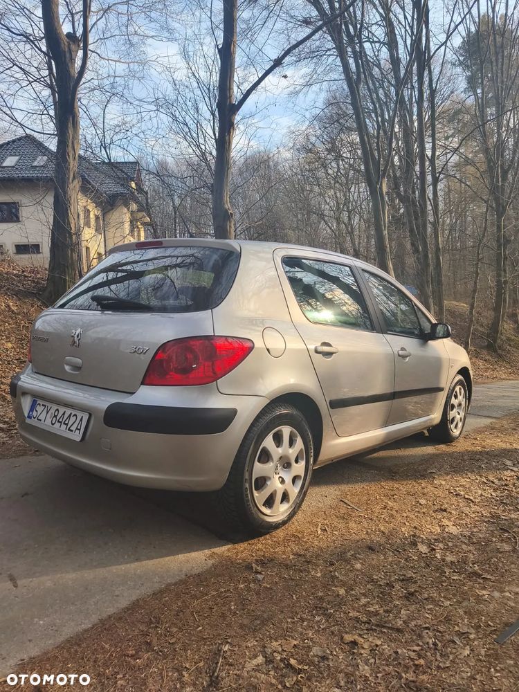 Peugeot 307 - 11