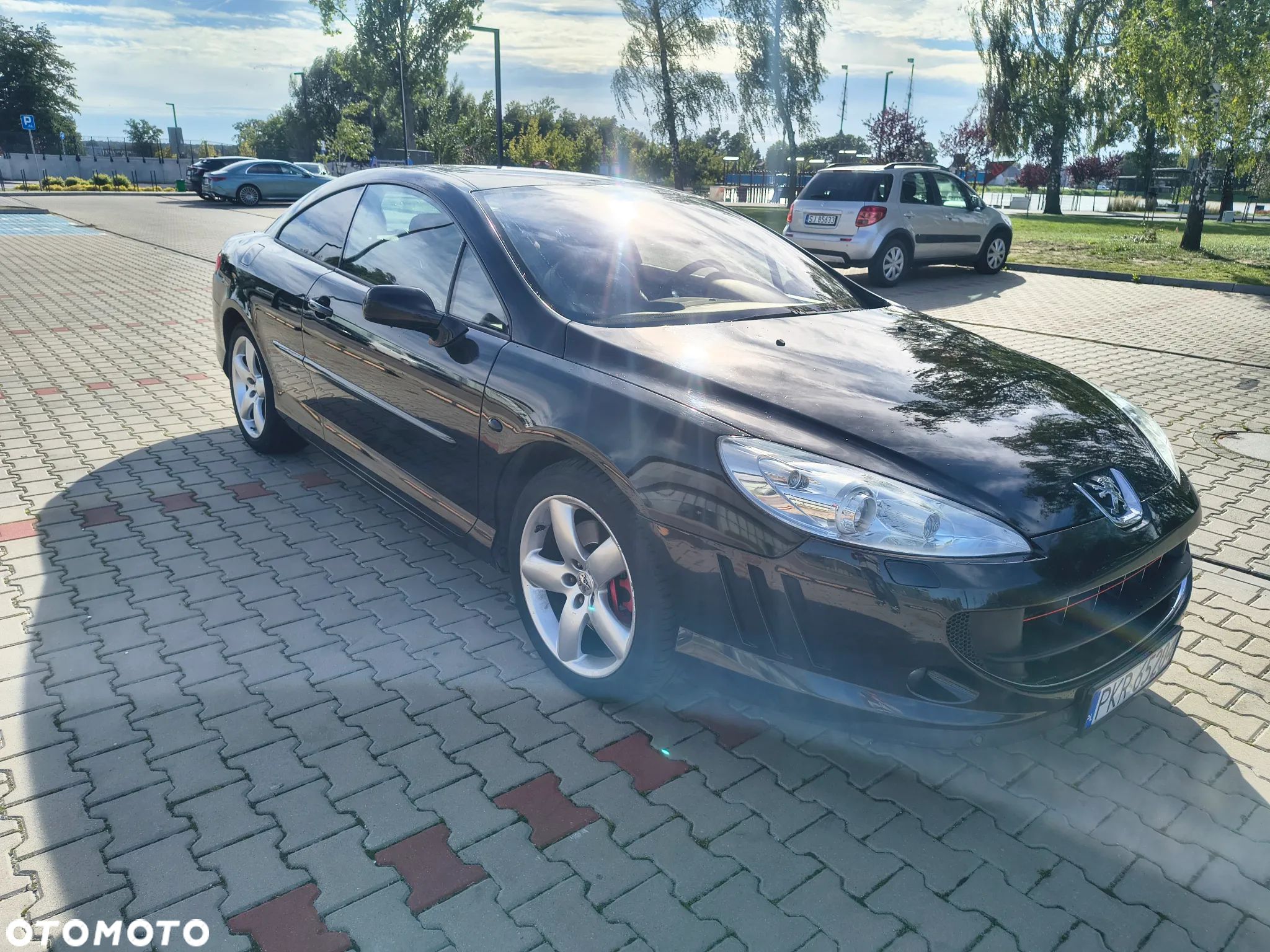 Peugeot 407 - 1