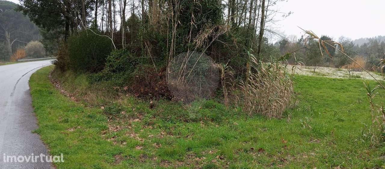 Terreno  para venda - Grande imagem: 4/4