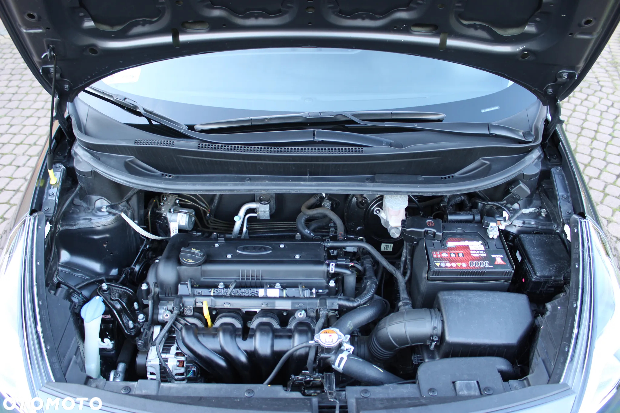 Kia Rio 1.4 M - 14