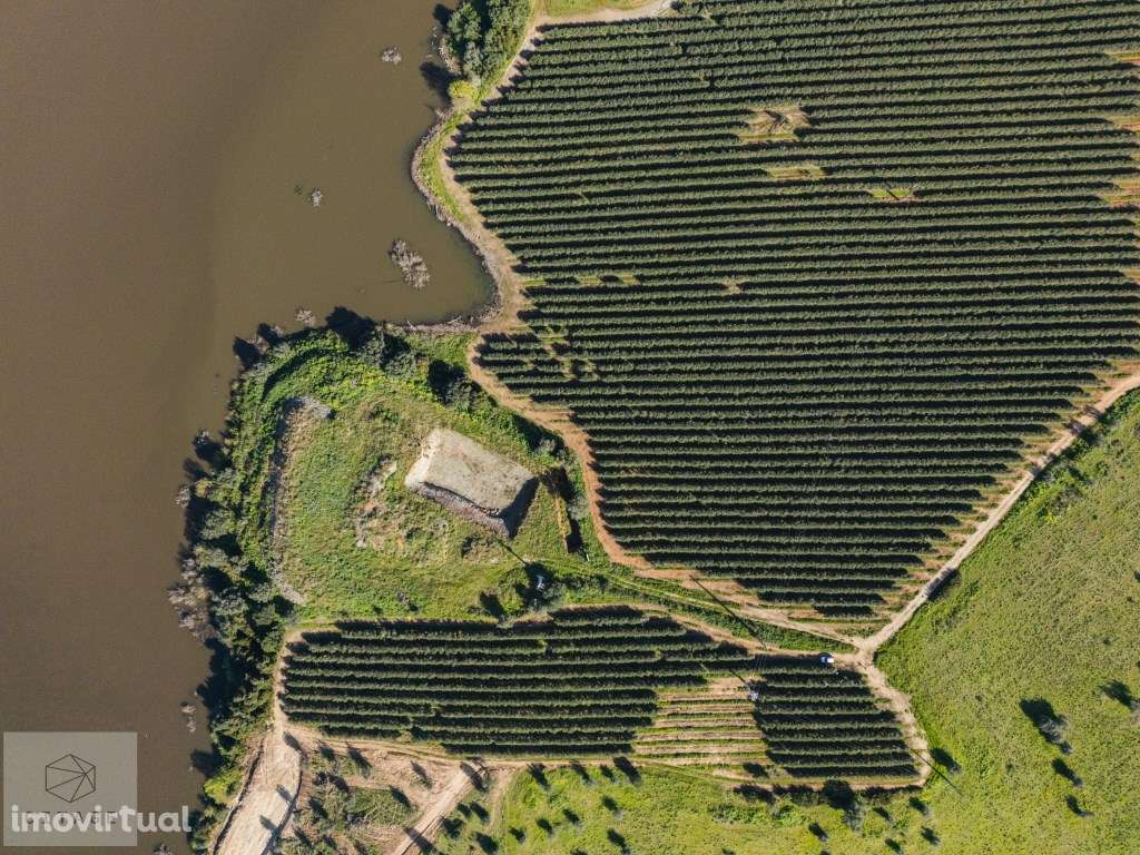 Terreno na Barragem do Maranhão em Avis - Grande imagem: 4/17