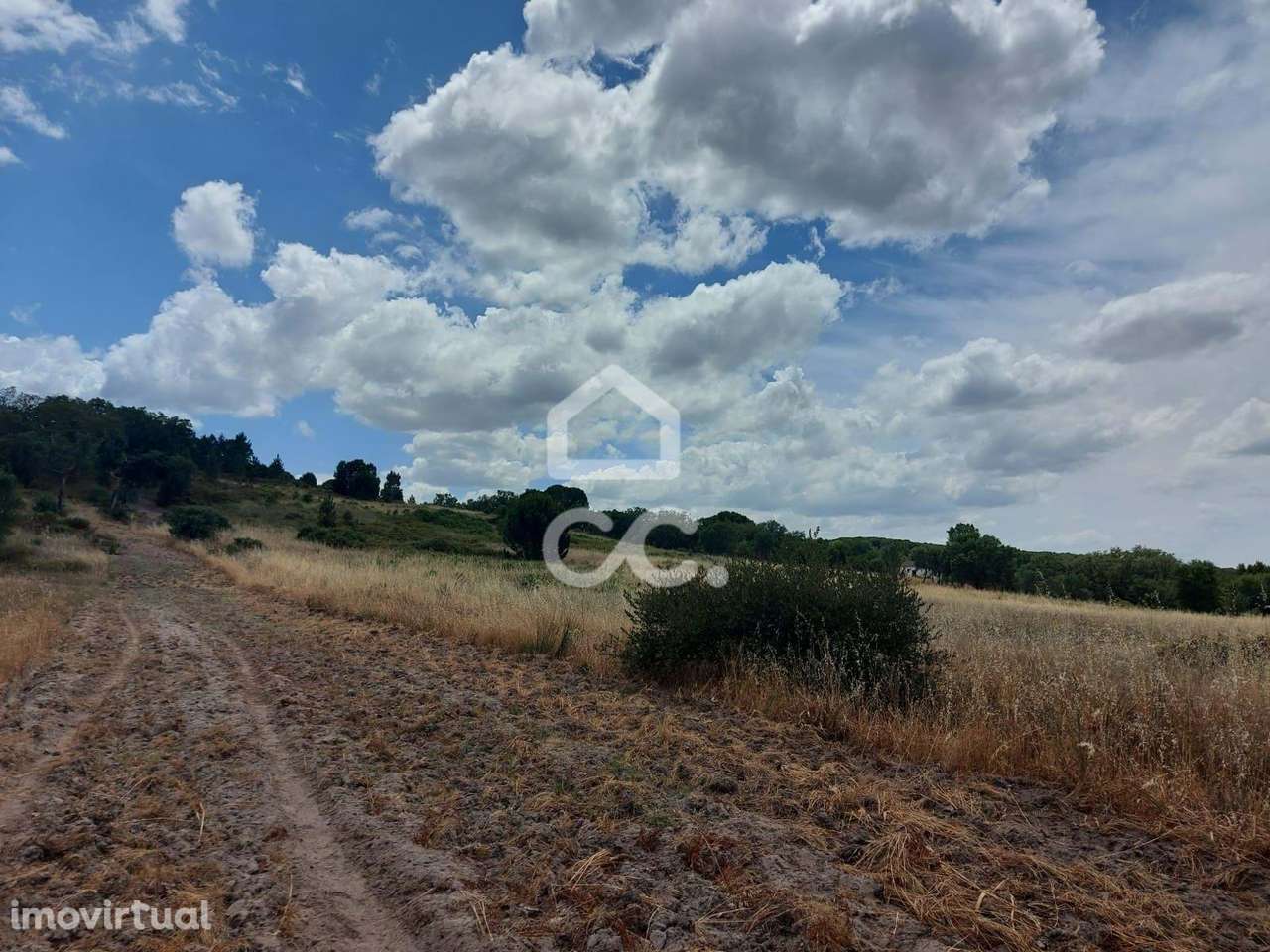 Terreno rústico com cerca de 1,59 hectares | Cabeção (Mora) - Grande imagem: 5/8