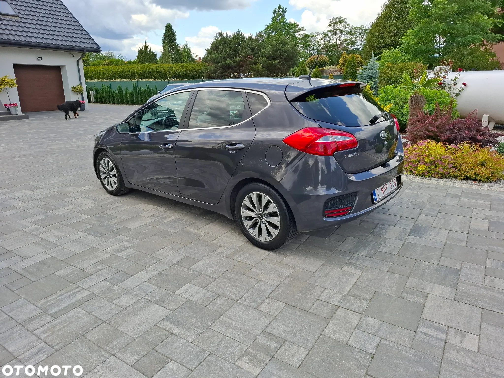 Kia Ceed 1.0 T-GDI 120 OPF Edition 7 - 7