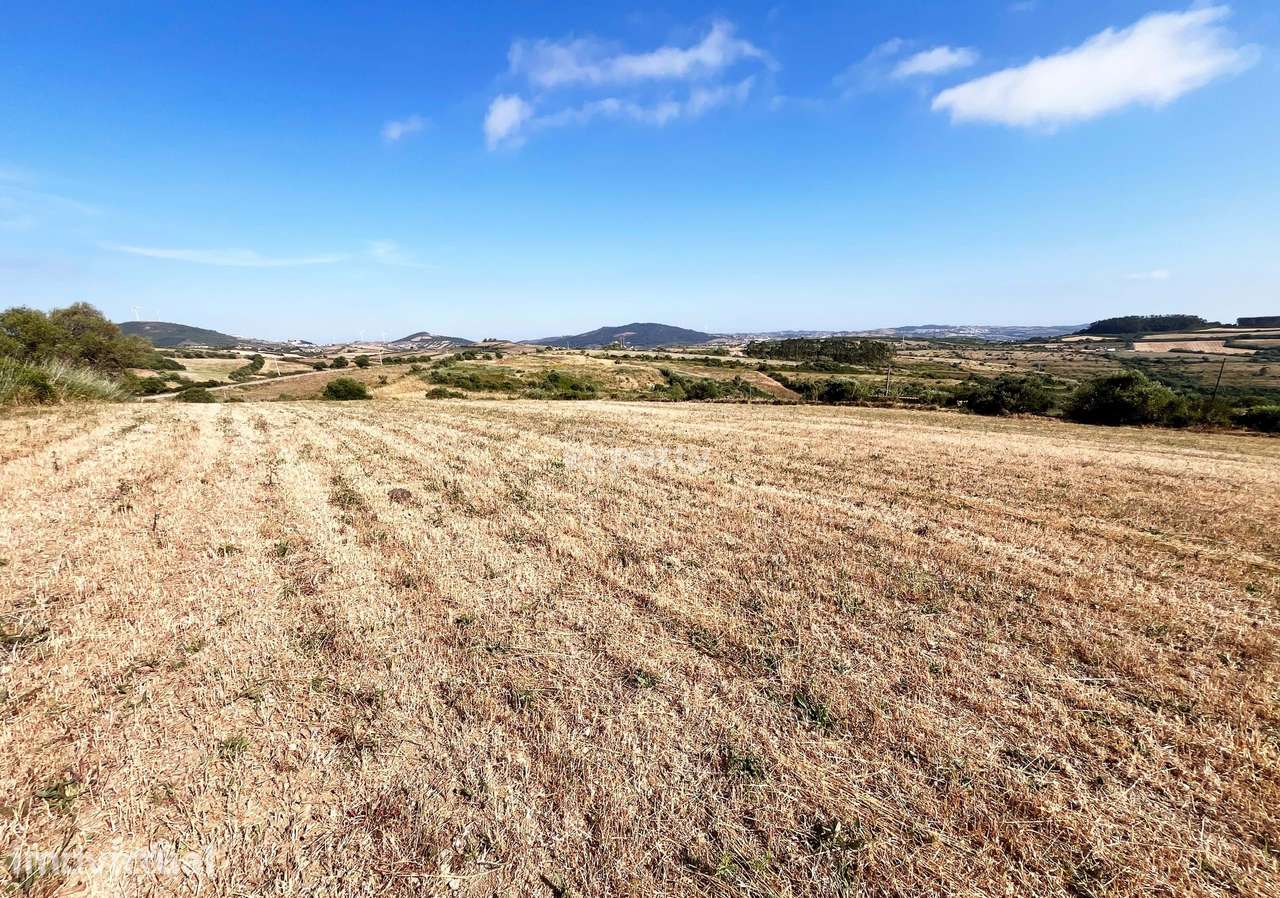 Terreno com 11.250 m² | Igreja Nova, Mafra - Grande imagem: 2/14