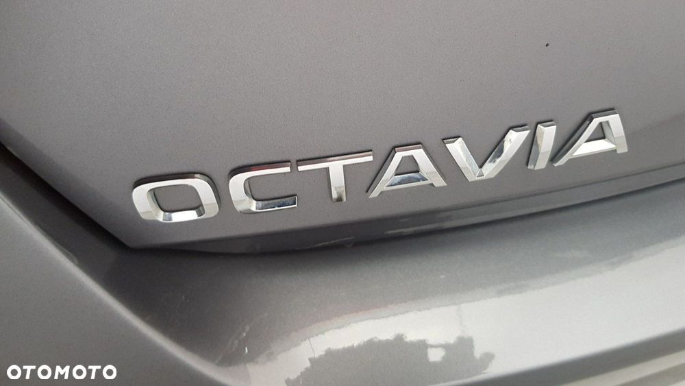 Skoda Octavia - 13