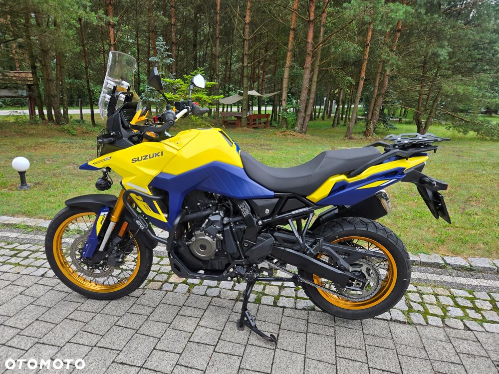 Suzuki DL - 11