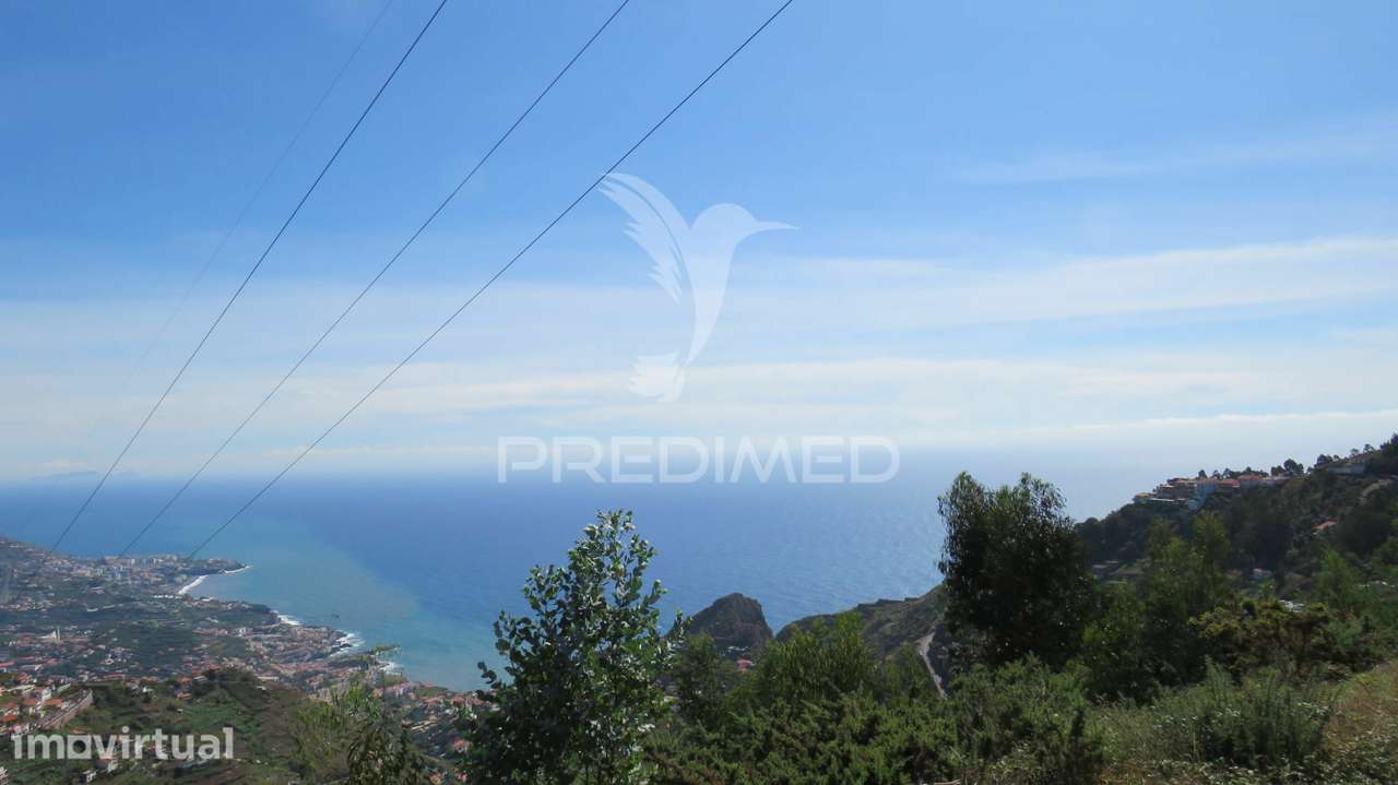 Terreno em Câmara de lobos 700m2 - Grande imagem: 3/4