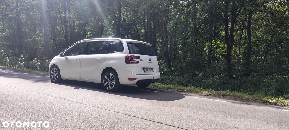 Citroën C4 Picasso 2.0 BlueHDi MoreLife S&S - 24