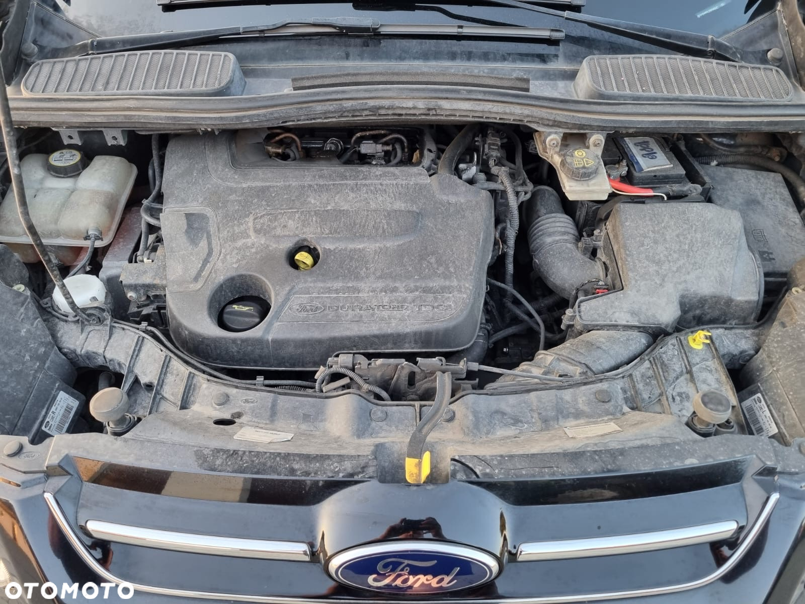 Ford C-MAX 2.0 TDCi Trend MPS6 - 2