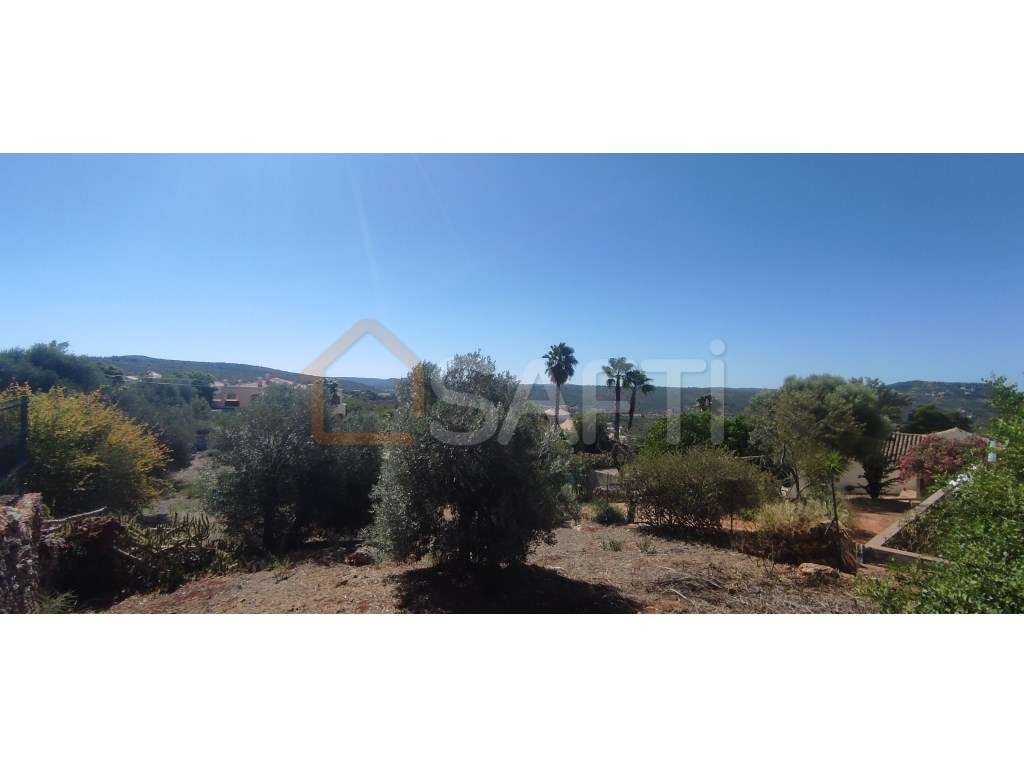 Excelente terreno para construção e investimento - Grande imagem: 5/5