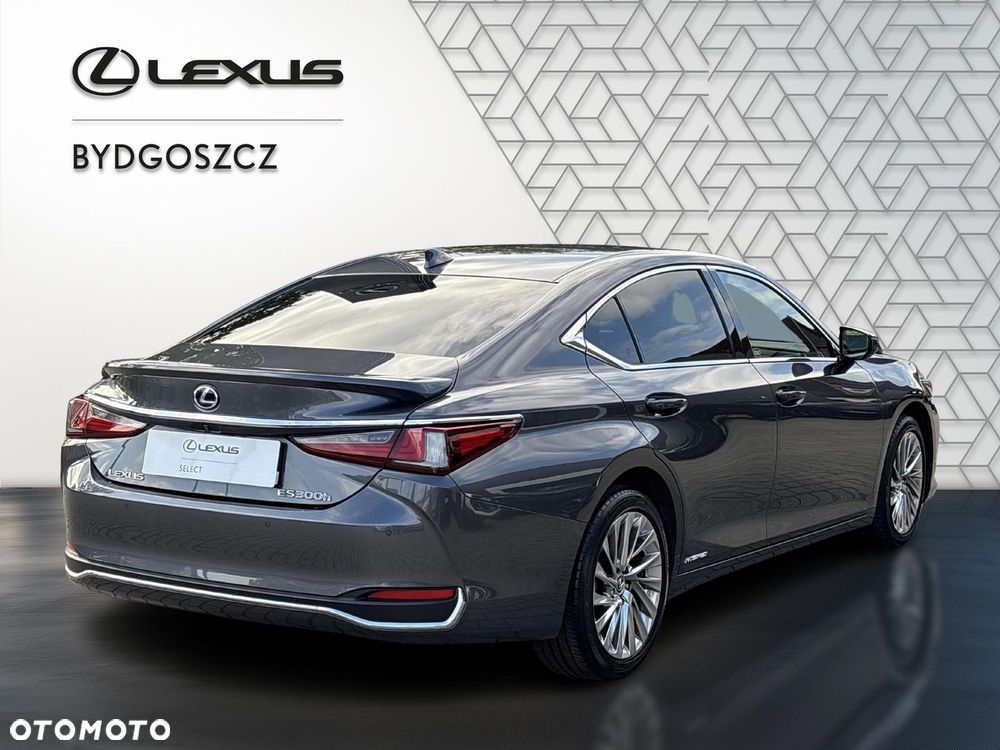 Lexus ES 300h Omotenashi - 6