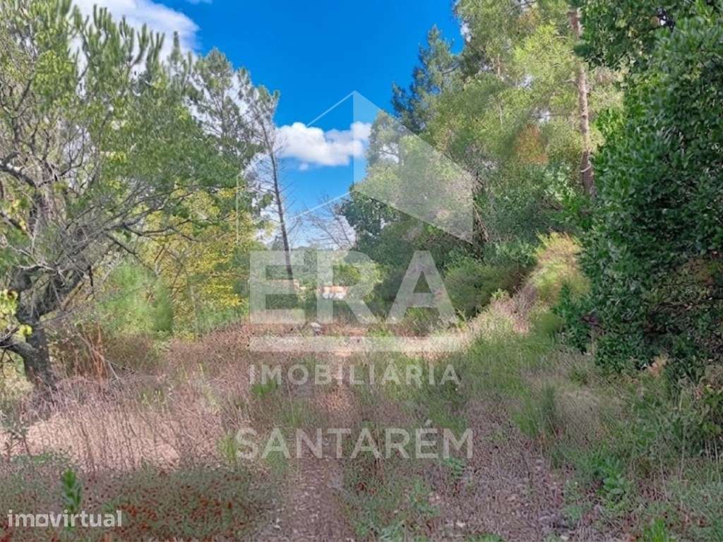 Magnífico Terreno com Potencial de Construção - Grande imagem: 5/10