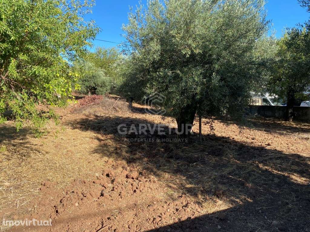 Lote de Terreno urbano no centro Salir, Loulé, Algarve - Grande imagem: 3/13