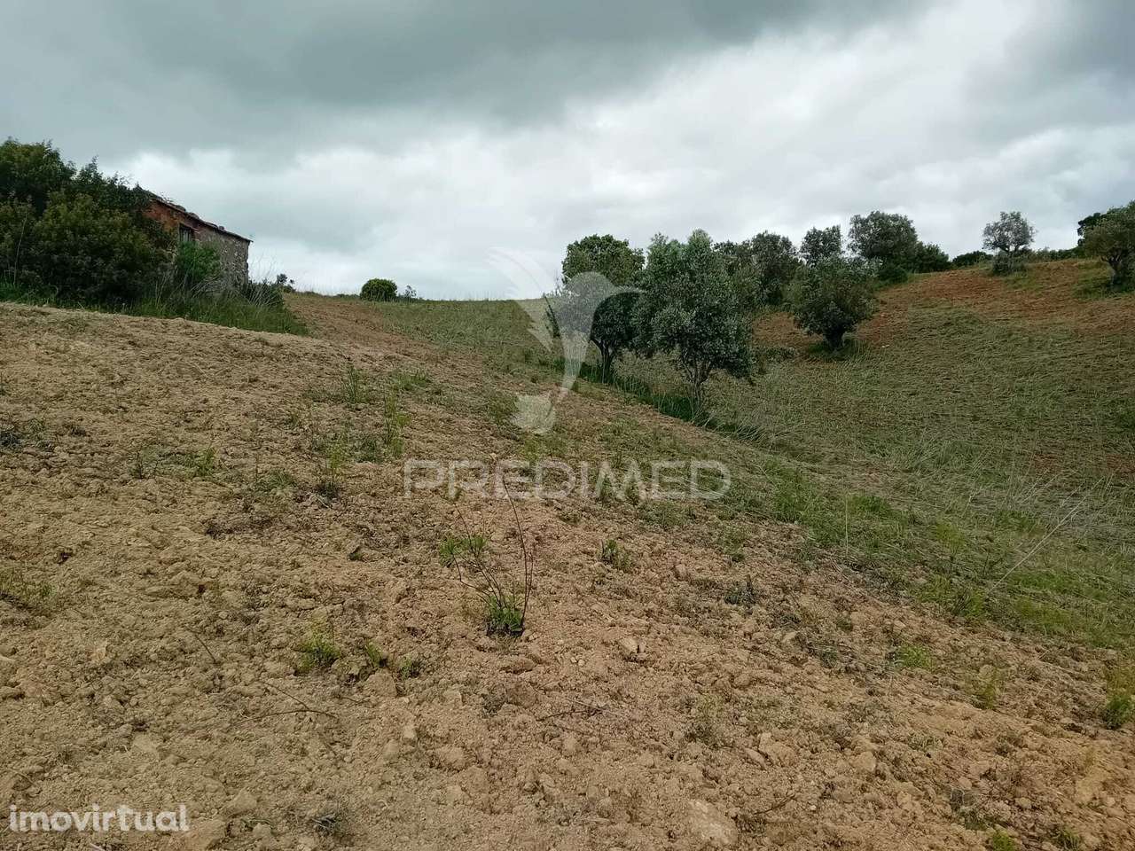 Terreno Rústico Pernes - Grande imagem: 2/7