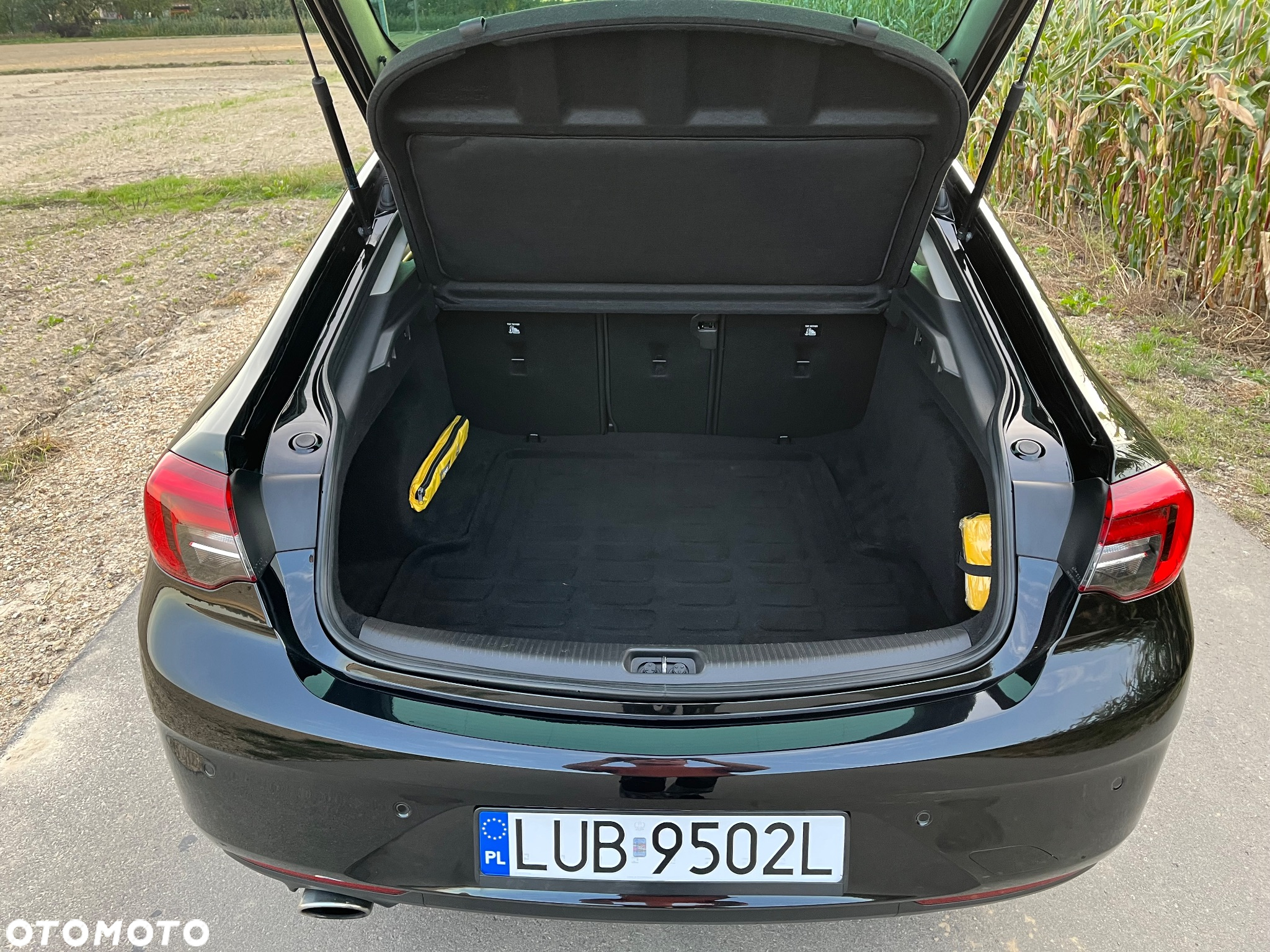 Opel Insignia 2.0 CDTI 4x4 Exclusive S&S - 20