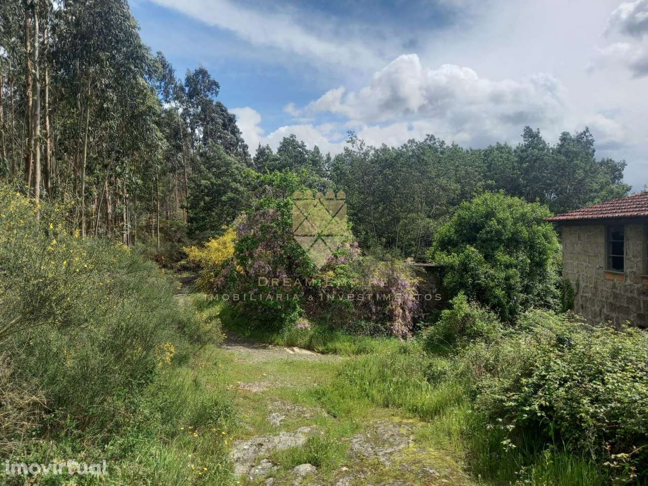 Moradia em Ruínas para Recuperar – Zona Tranquila com Potencial - Grande imagem: 2/8