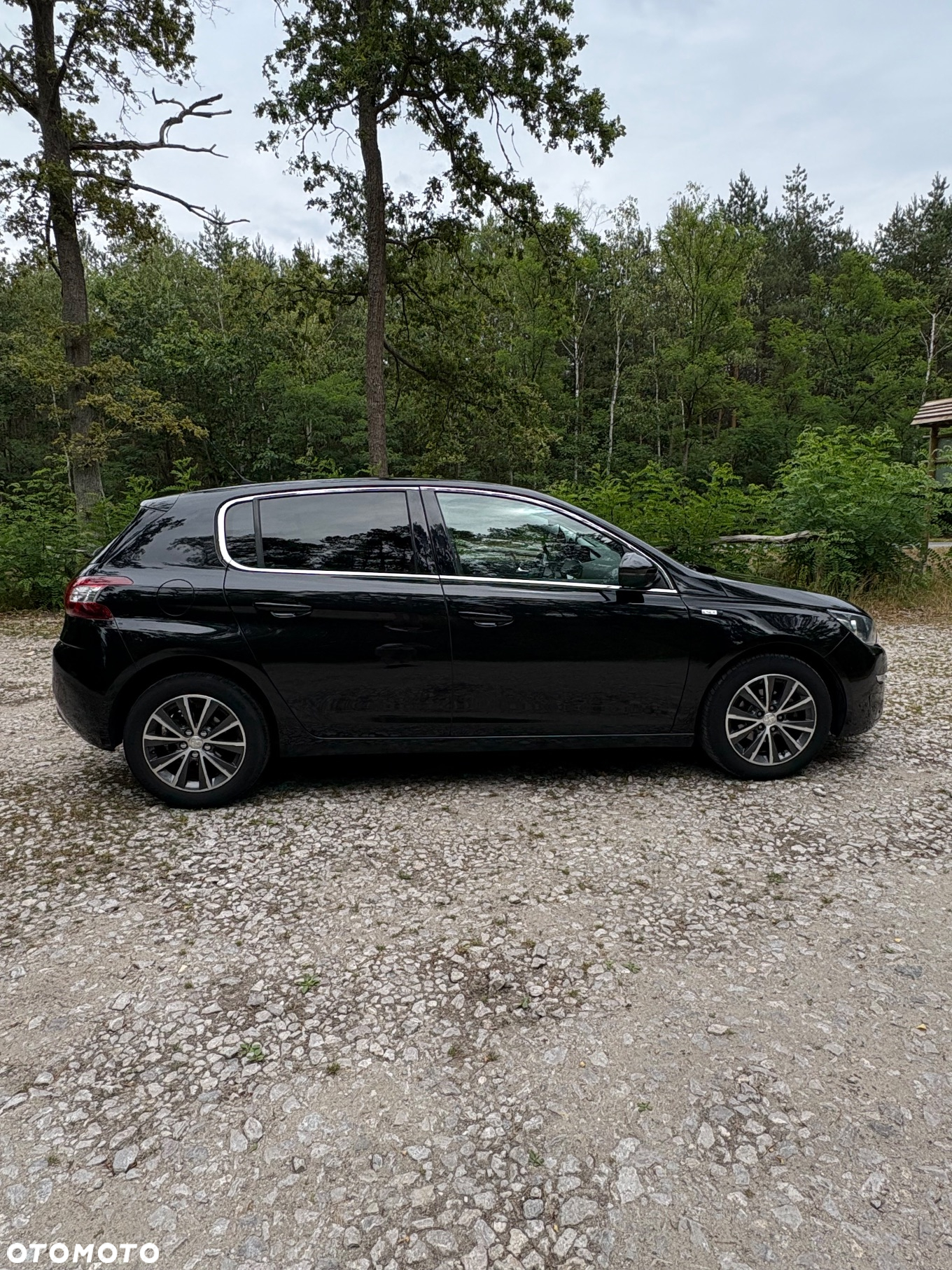 Peugeot 308 - 5