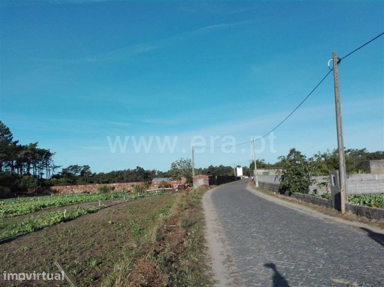 Terreno agrícola, Belinho, Esposende - Grande imagem: 5/6