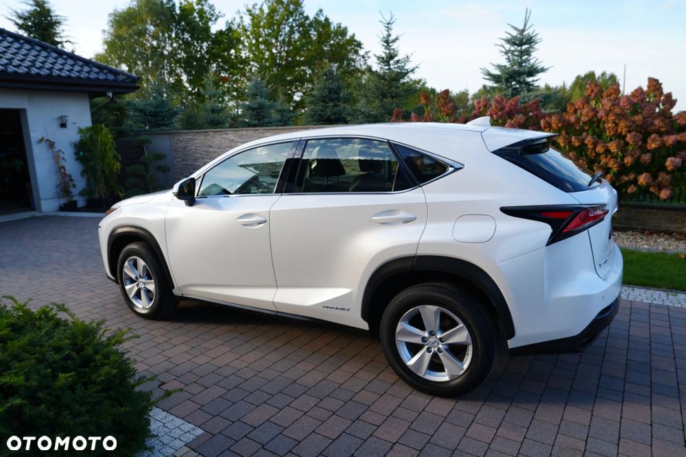 Lexus NX 300h Elite 2WD - 1