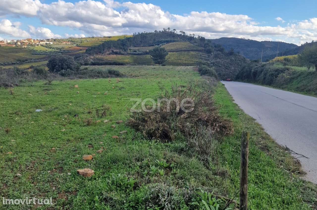 Terreno rústico , Murça - Grande imagem: 2/9