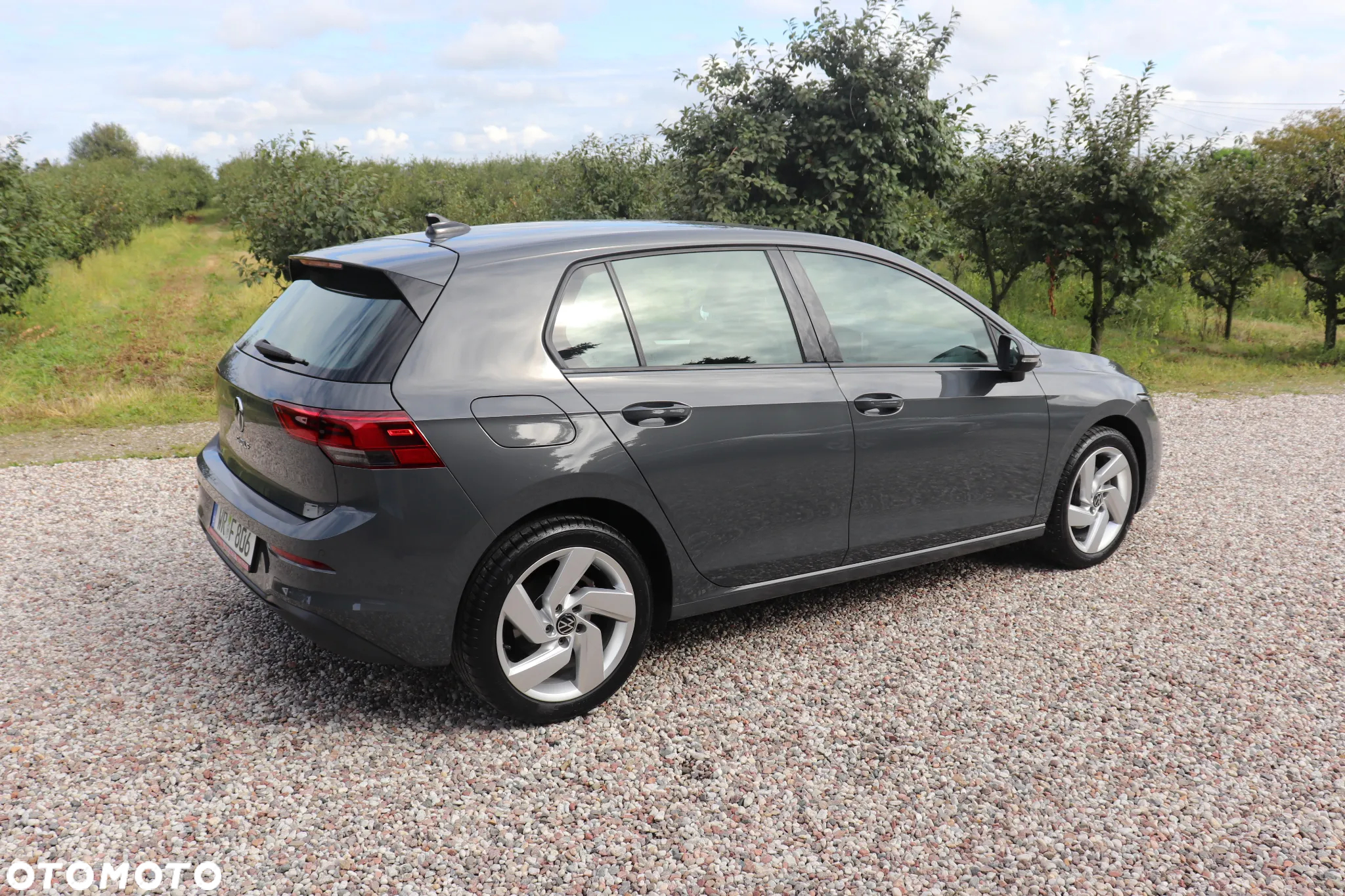 Volkswagen Golf VIII 2.0 TDI Life Plus - 6