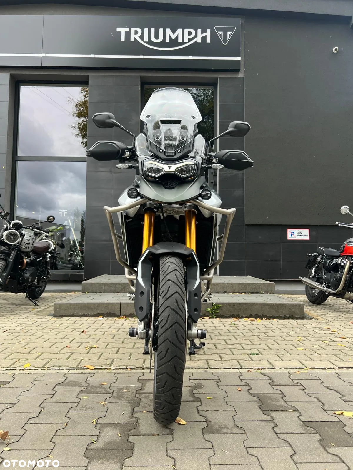 Triumph Tiger - 9