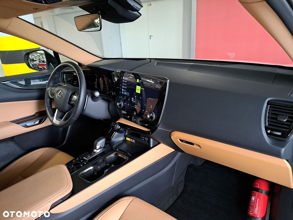 Lexus NX - 18