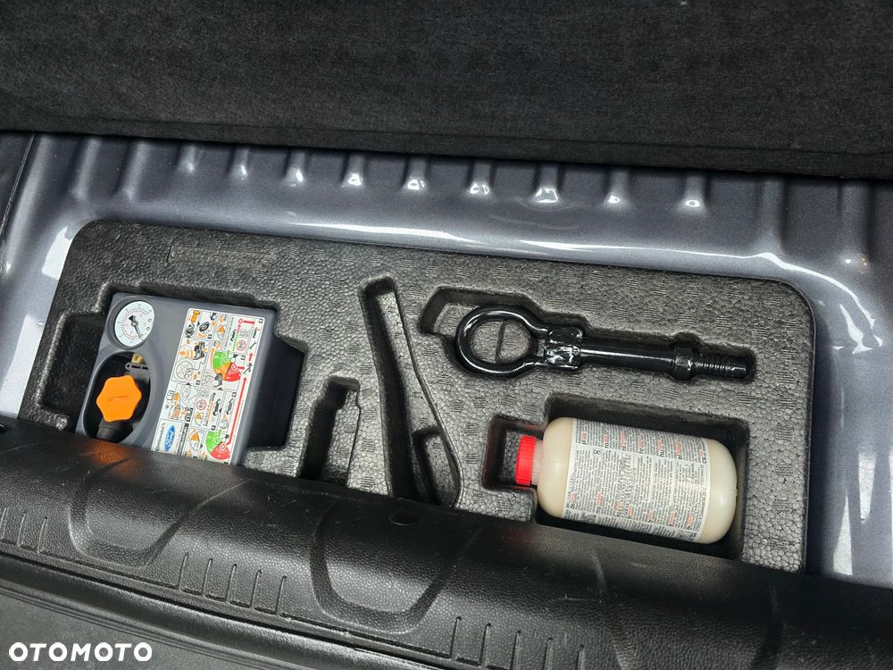 Ford EcoSport 1.0 EcoBoost GPF Titanium ASS - 30