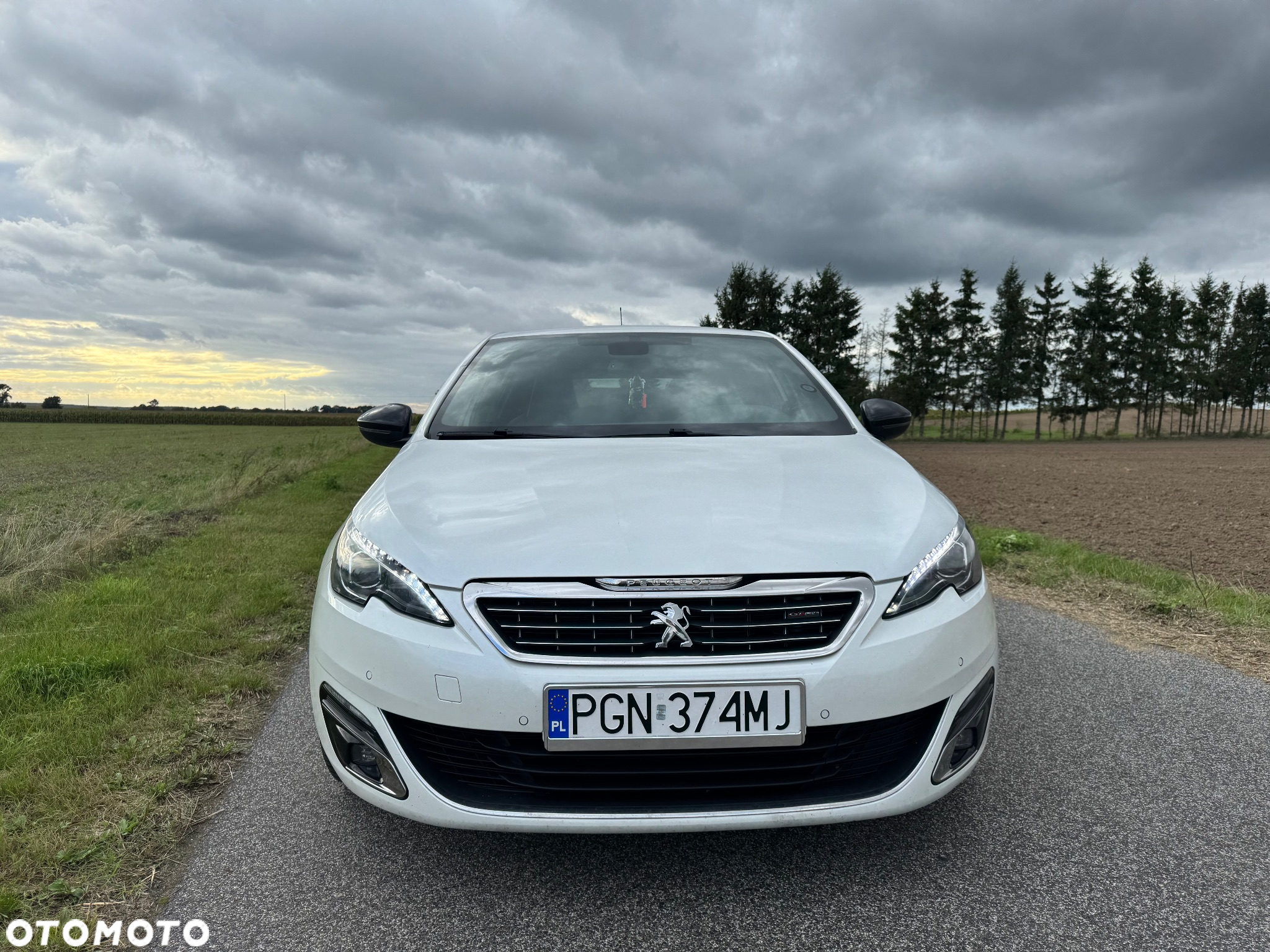 Peugeot 308 BlueHDi FAP 150 Stop&Start GT-Line Edition - 2