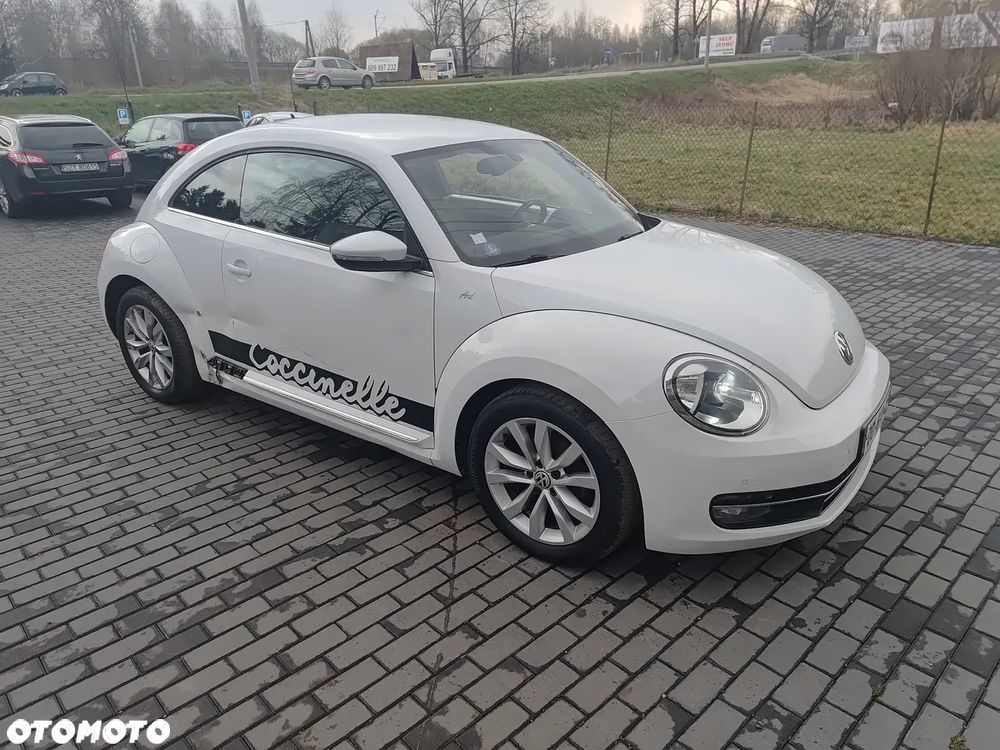 Volkswagen Beetle - 22