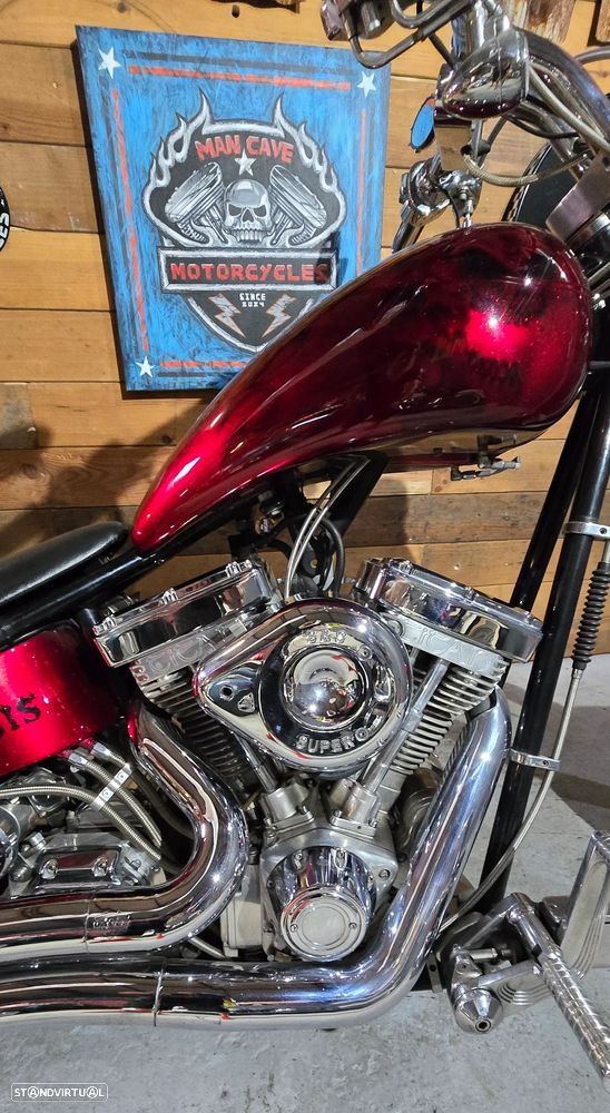 Harley-Davidson Evolution TITAN SIDWINDER - 10