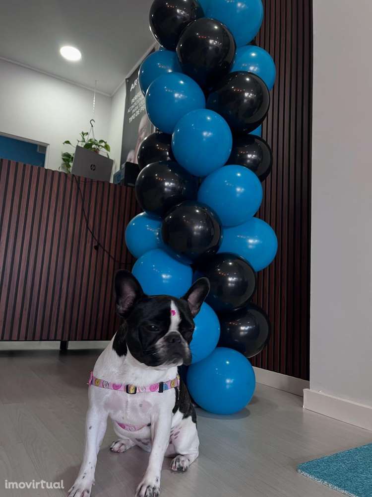 Trespasse Pet Shop - Grande imagem: 4/8