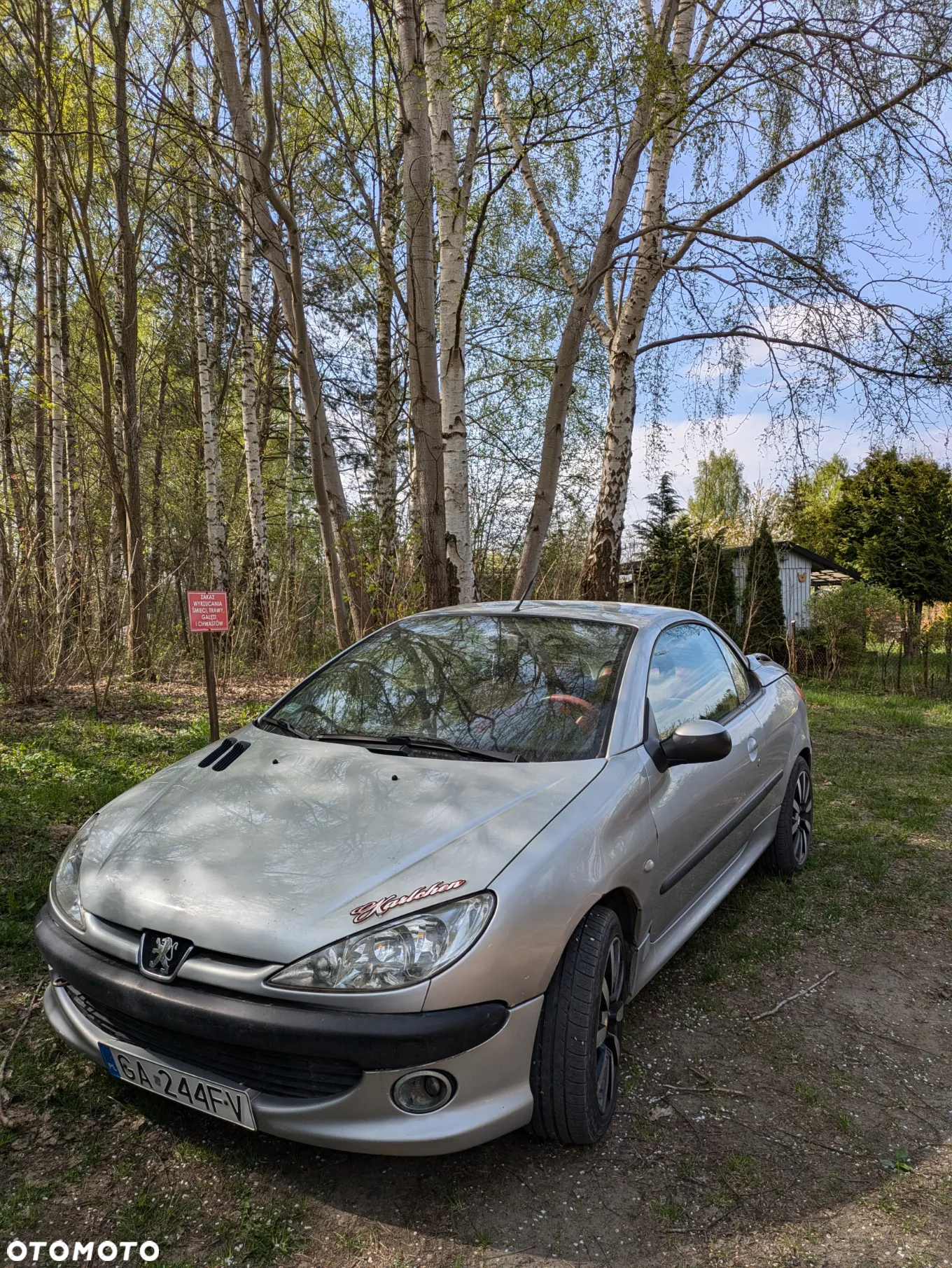 Peugeot 206 2.0 S16 - 6