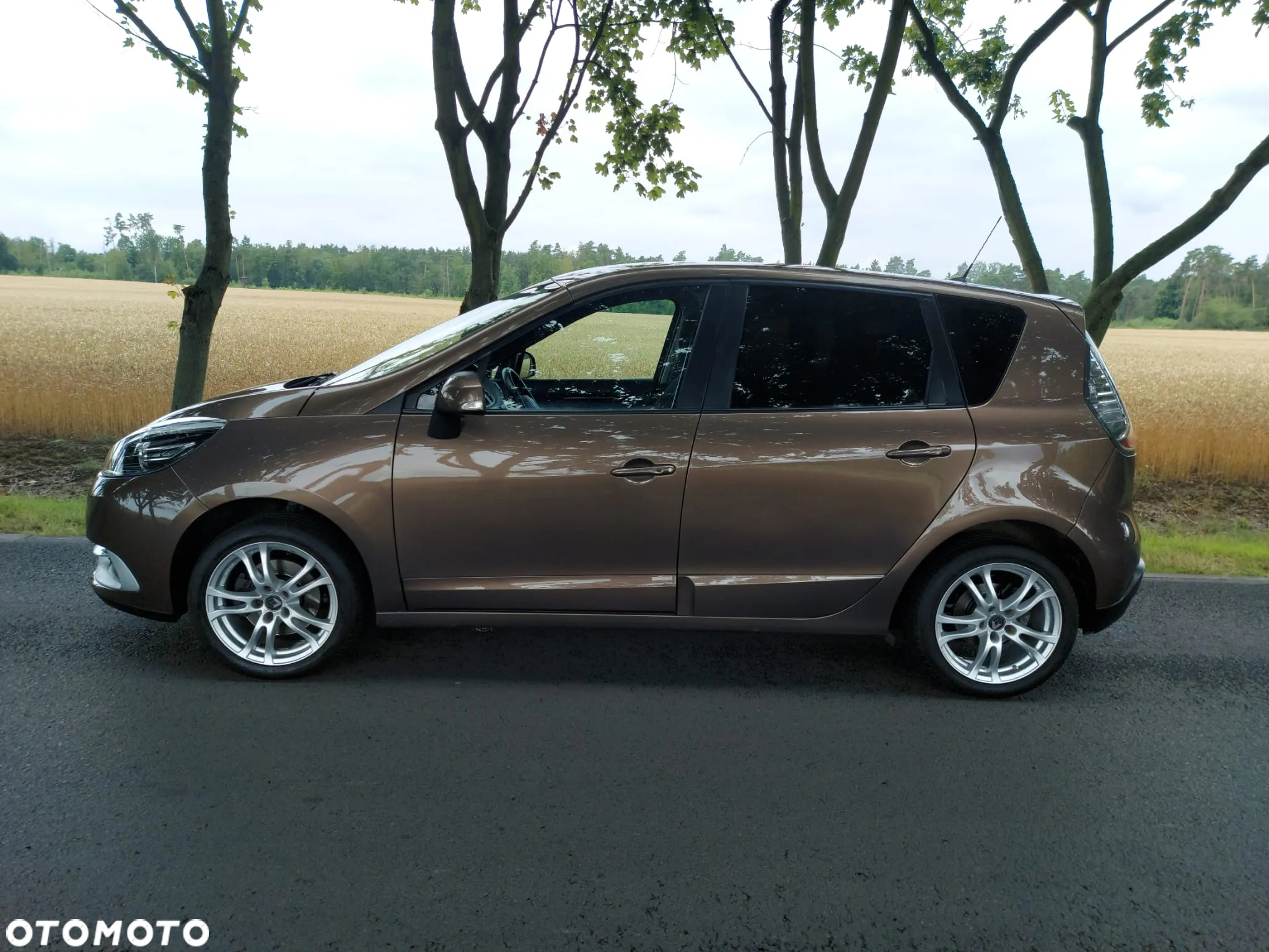 Renault Scenic ENERGY TCe 115 S&S LIMITED - 12