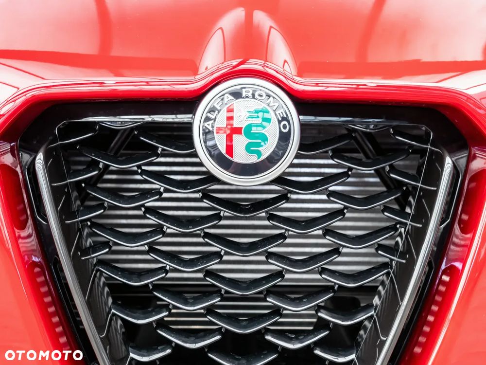 Alfa Romeo Stelvio 2.0 Turbo Veloce Q4 - 13