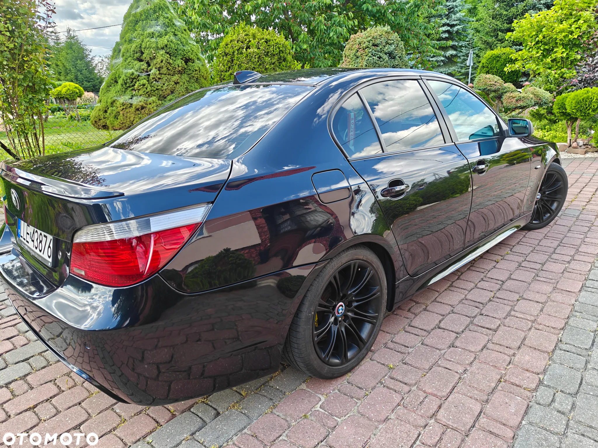 BMW Seria 5 525d - 15