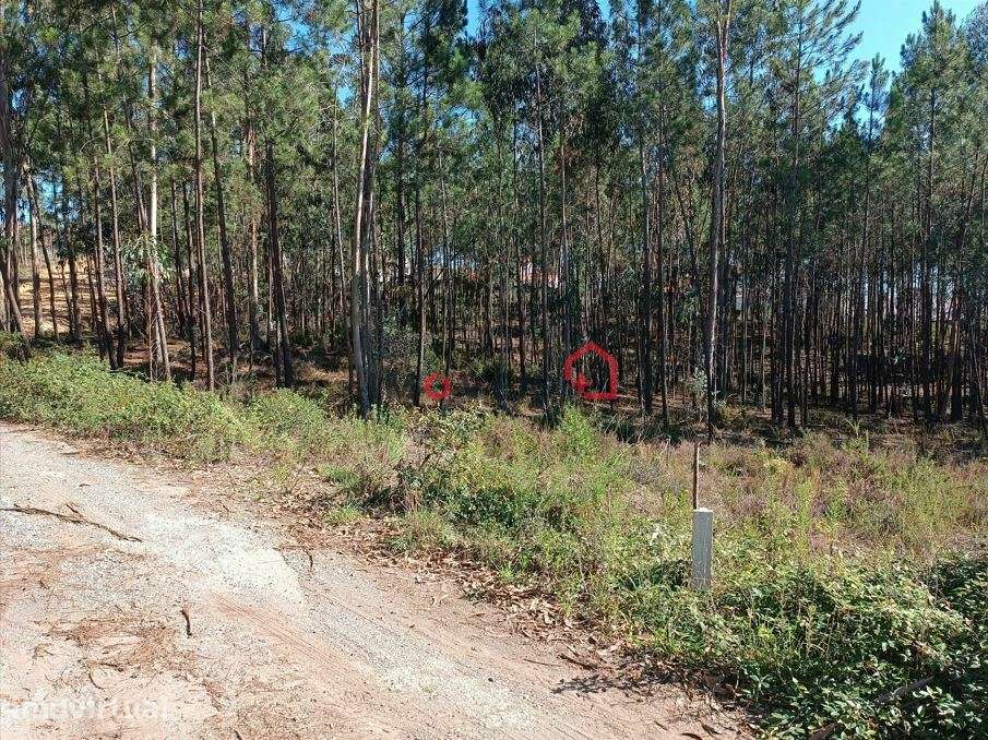 Terreno para Construção | Lote com 5975m2 | Andrinos - Leiria - Grande imagem: 5/15