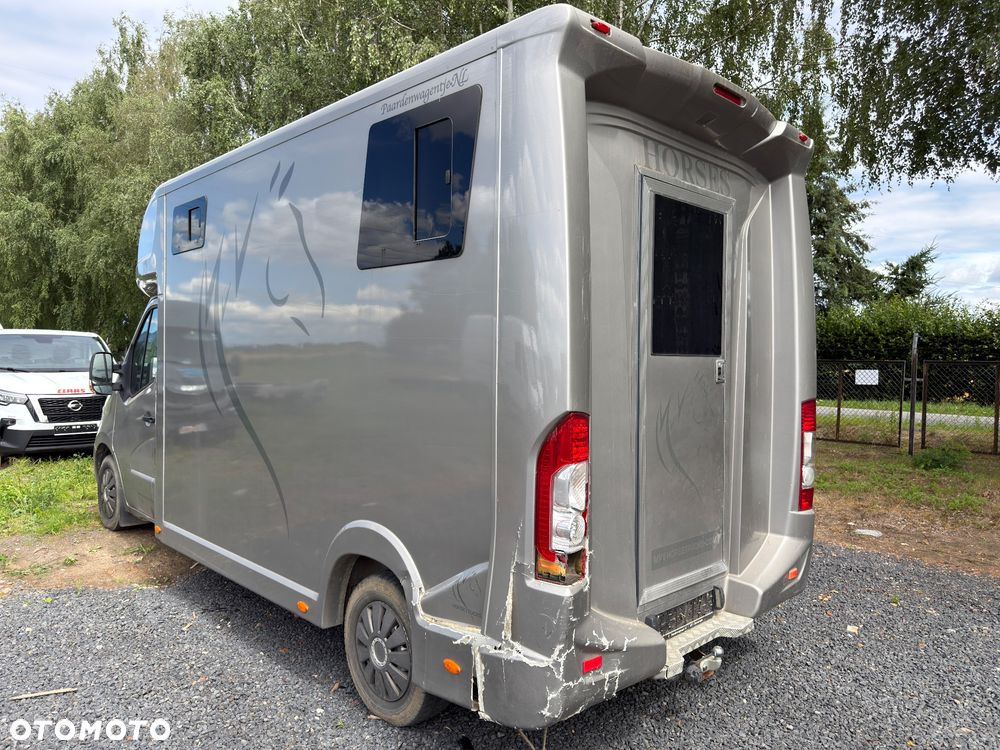 Opel MOVANO Koniowóz - 1