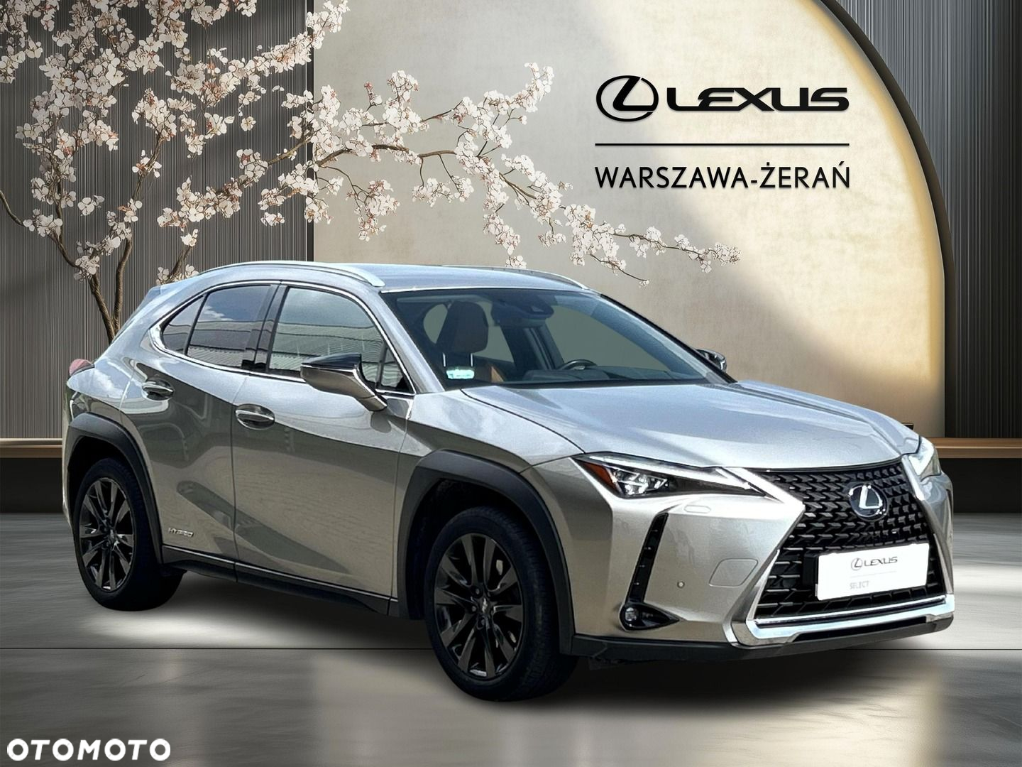 Lexus UX - 8