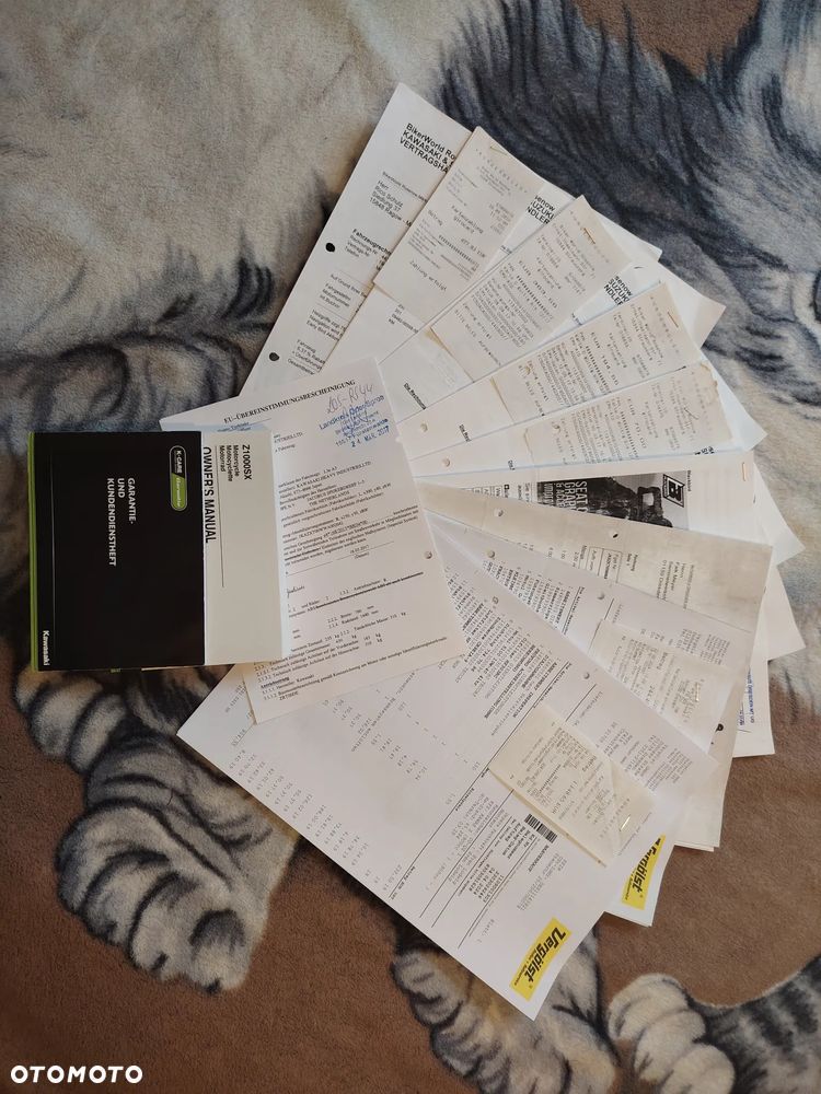 Kawasaki Ninja 1000 SX - 6