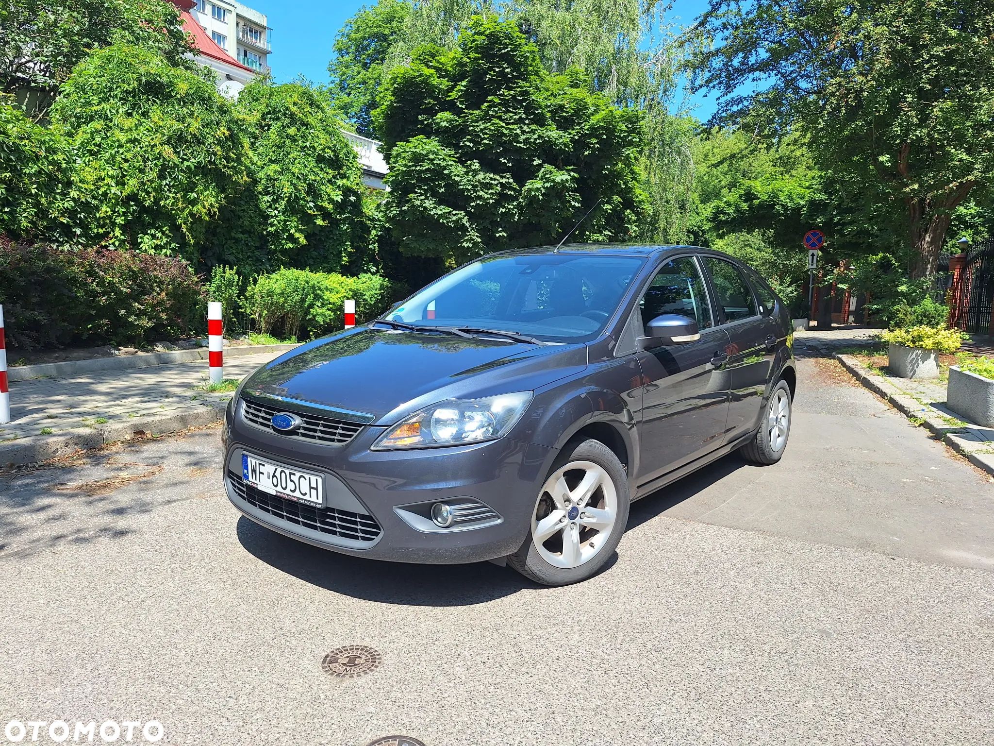 Ford Focus - 1