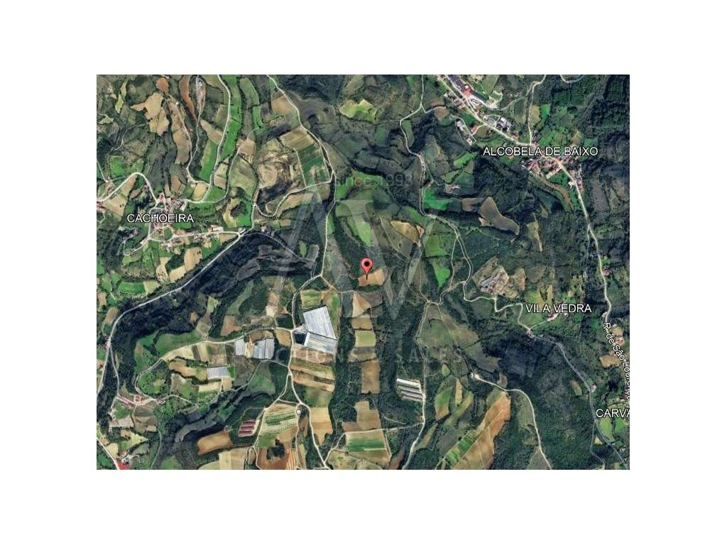 Terreno rústico - ARRANHÓ - ARRUDA DOS VINHOS | LEILÃO ELETRÓNICO |... - Grande imagem: 3/8