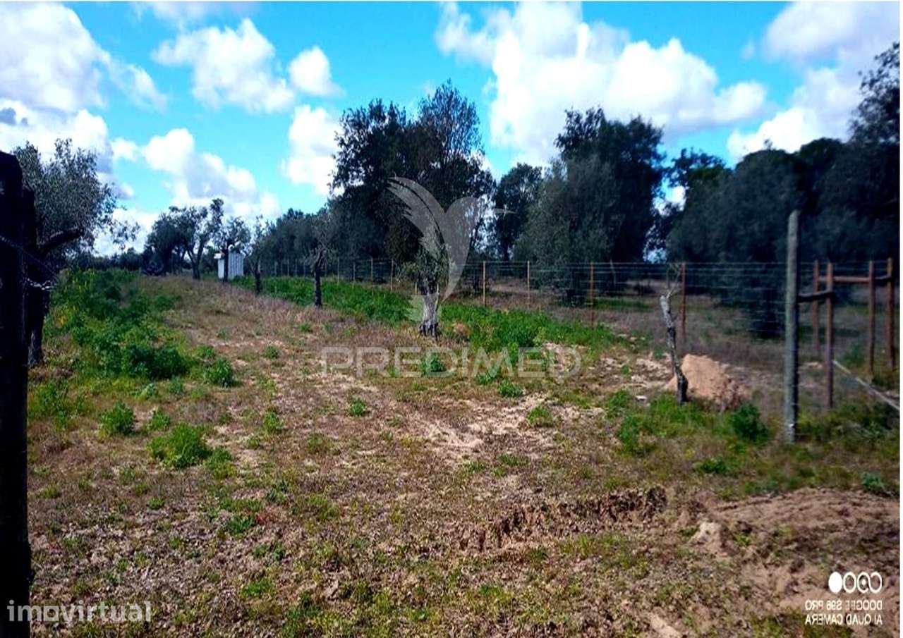 TERRENO RUSTICO COM VIABILIDADE DE CONSTRUÇÃO - Grande imagem: 3/8