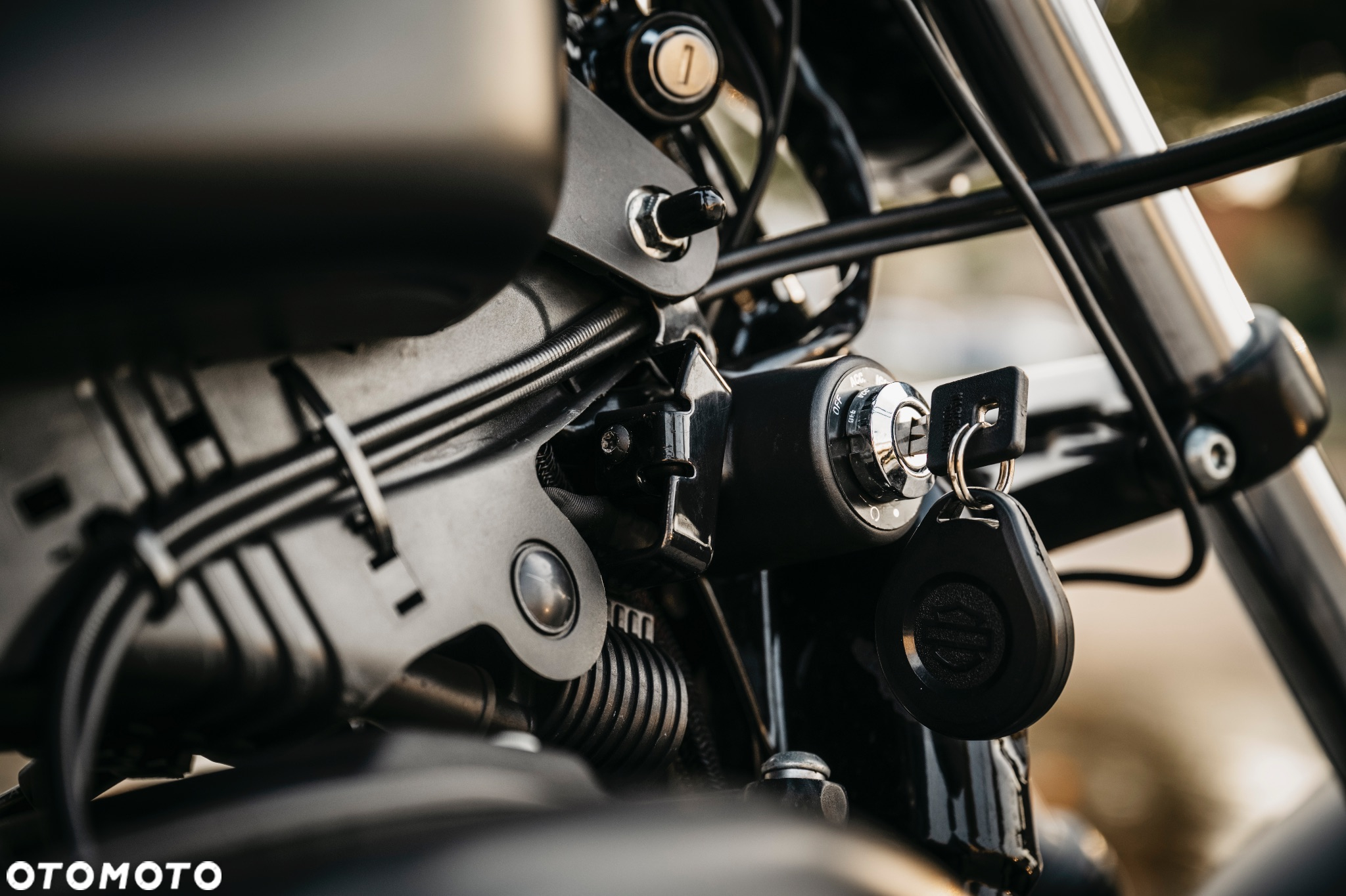 Harley-Davidson Sportster Iron 883 - 12