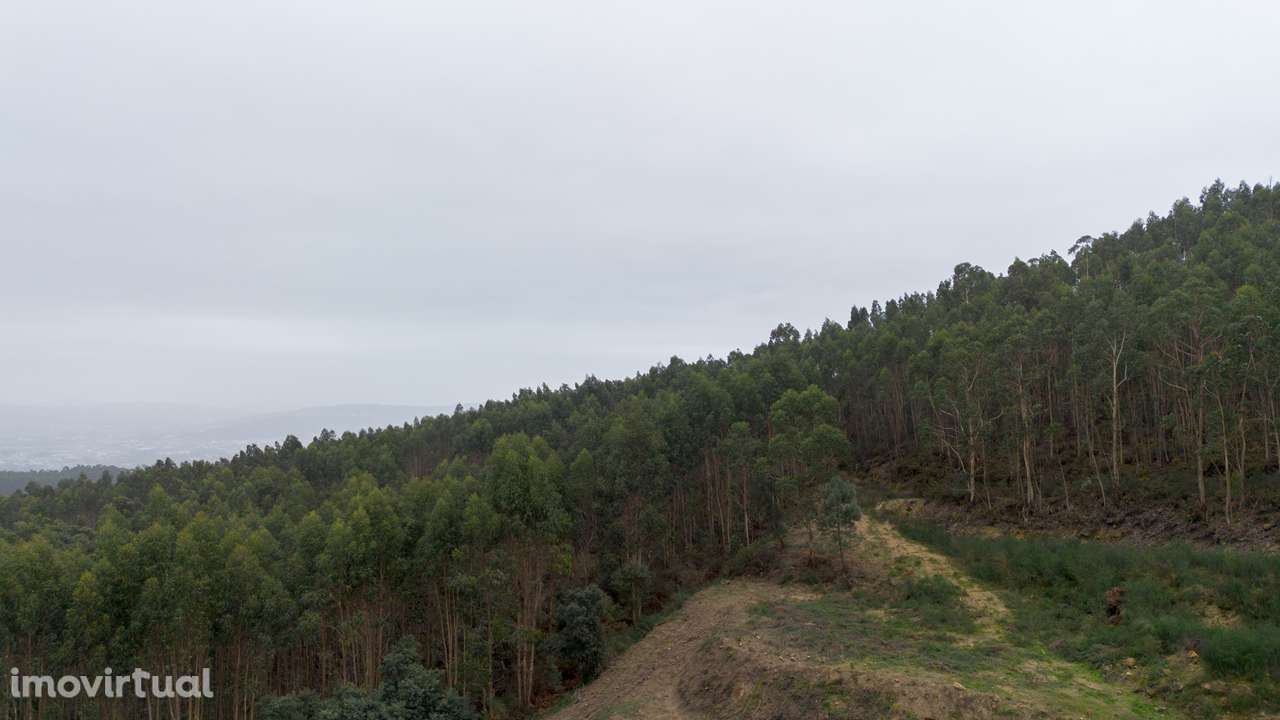 Terreno  Venda em Vandoma,Paredes - Grande imagem: 3/25
