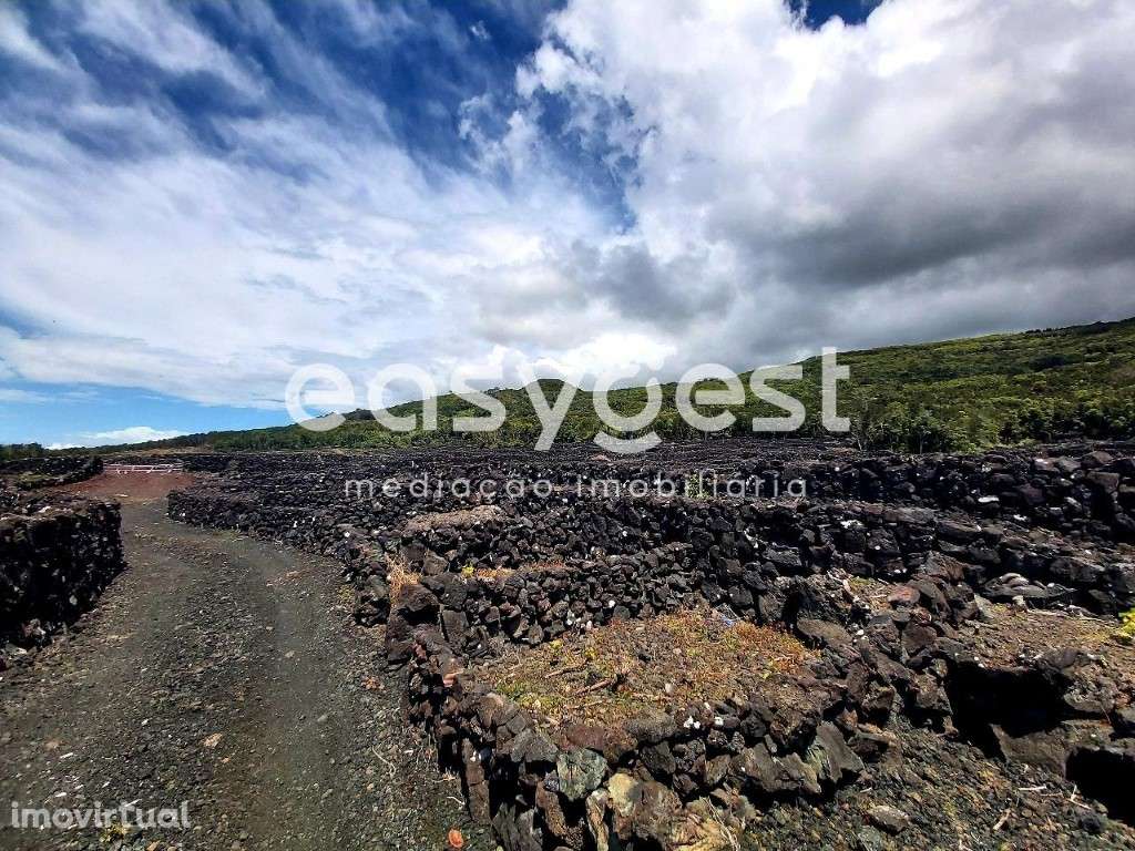 Terreno com vista o mar e montanha, em zona de vinha na ilha do Pico - Grande imagem: 3/16