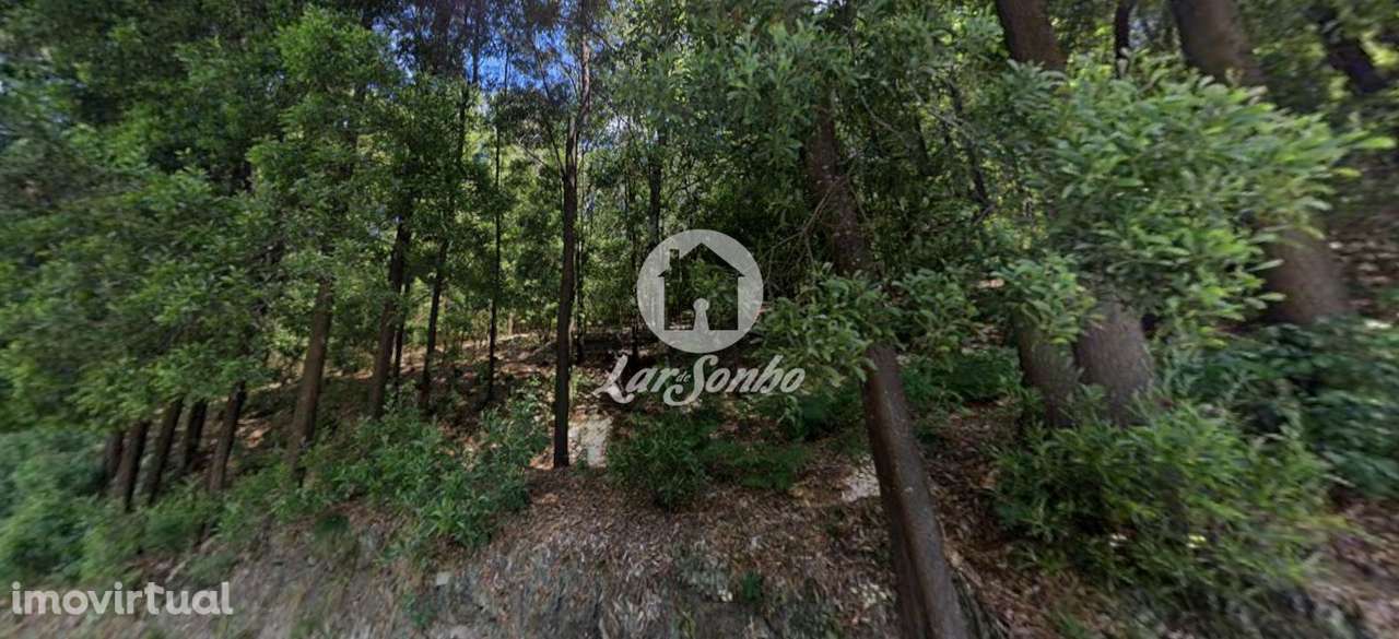 Terreno com 12.000m2 em Santo Tirso - Grande imagem: 2/6