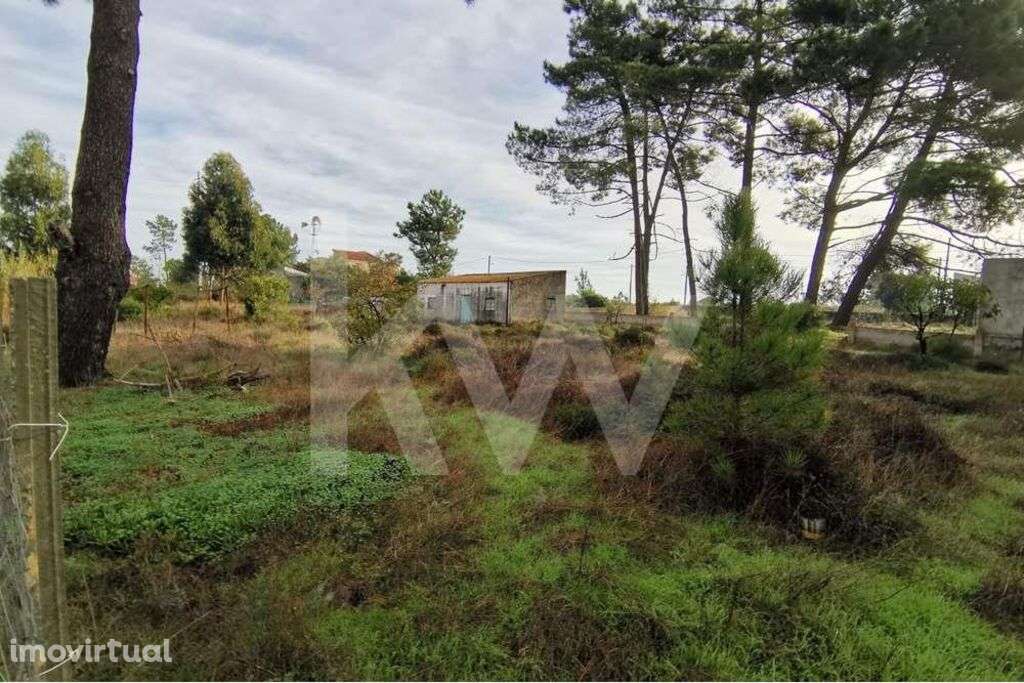 Terreno com 1506m2 para Construção - Grande imagem: 2/9