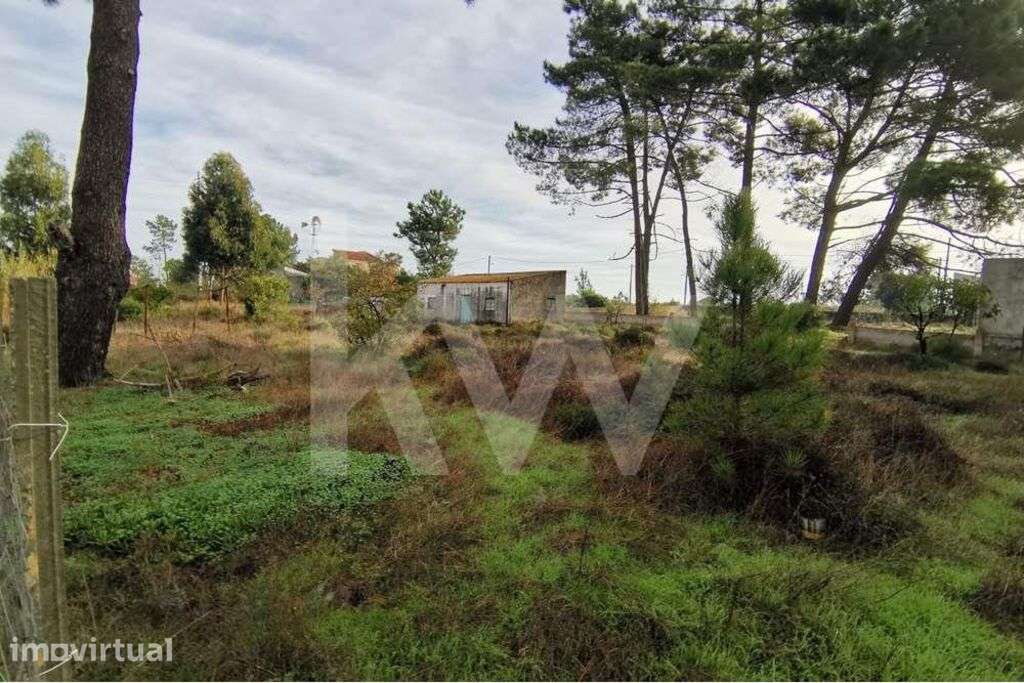 Terreno com 1506m2 para Construção - Grande imagem: 2/9