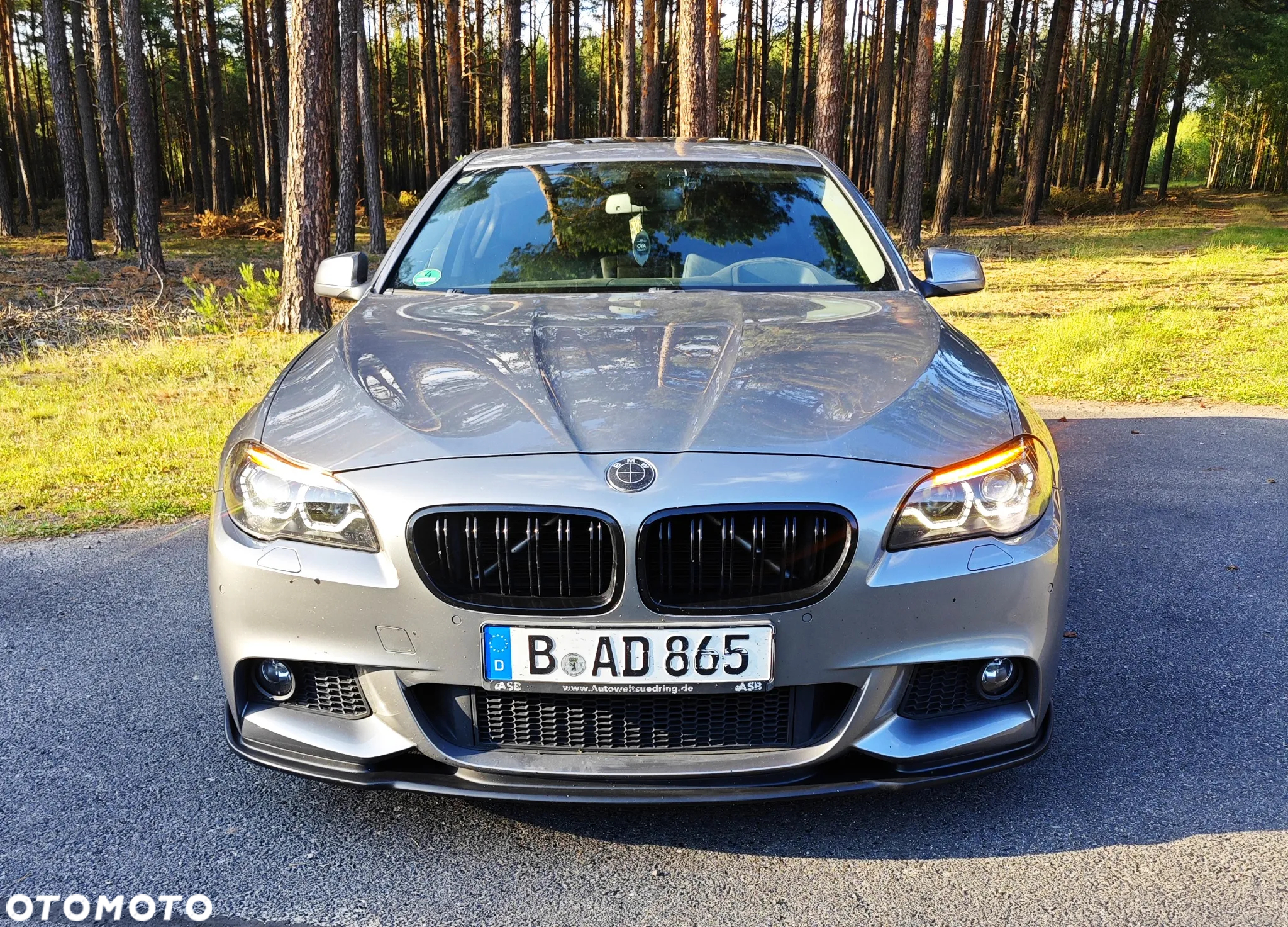 BMW Seria 5 530d xDrive - 12